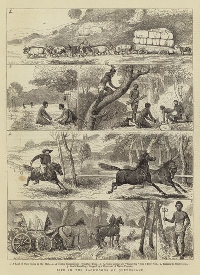 Vida en el interior de Queensland de Alfred Chantrey Corbould